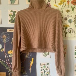 Cropped Turtleneck Sweater